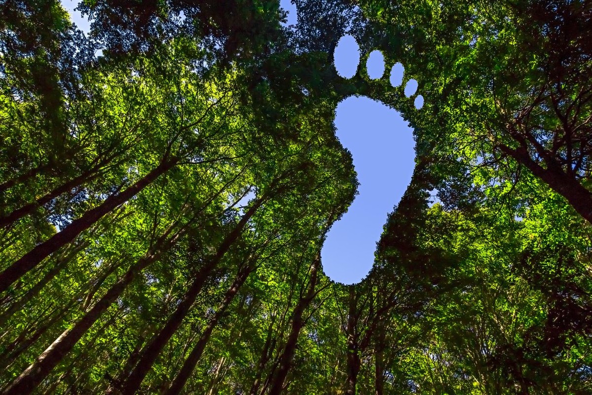 Policz swój ślad węglowy z pomocą kalkulatora Banku Pekao S.A. i Plan Be Eco