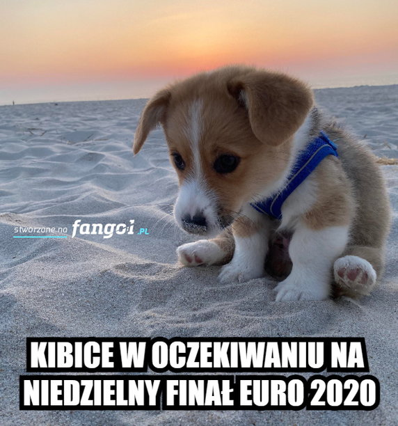 Memy przed finałem Euro 2020: Włochy - Anglia