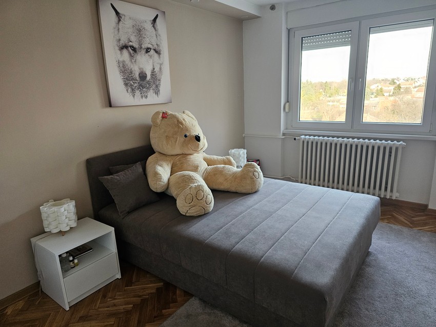 Sanja Grujić i Marko gajba