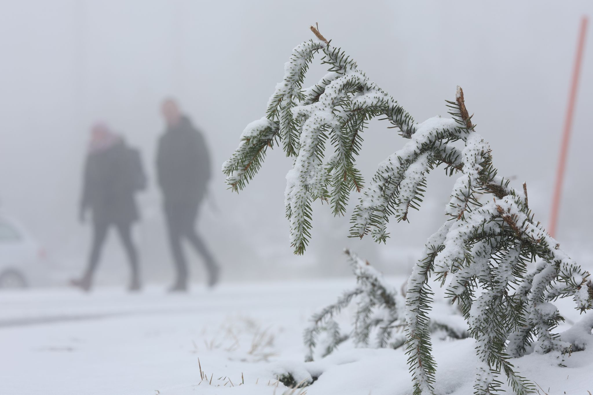 Wintereinbruch: Bis 10 cm Schnee im Harz und -10 Grad im Süden