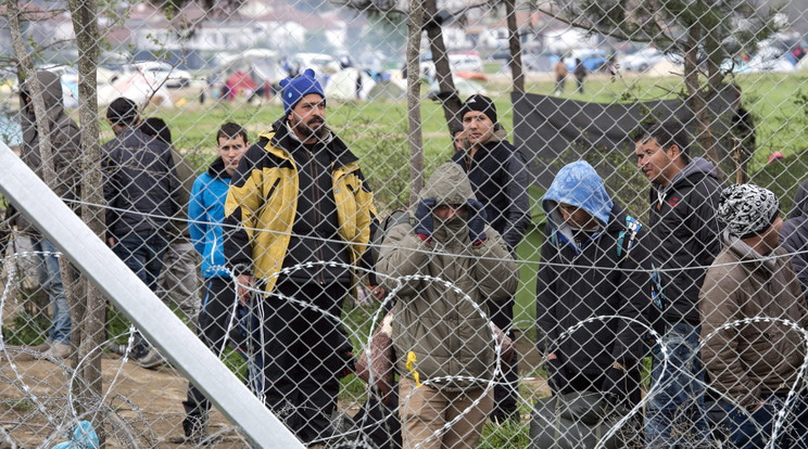 A görögök egyre több menekültet szállítanak a szárazföldre, akik a balkáni útvonalon jutnak el a magyar határig /Fotó:MTI