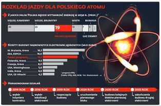Polska pożegna się z elektrownią atomową? Tauron, Enea i KGHM jeszcze nie kupiły udziałów w PGE EJ 1