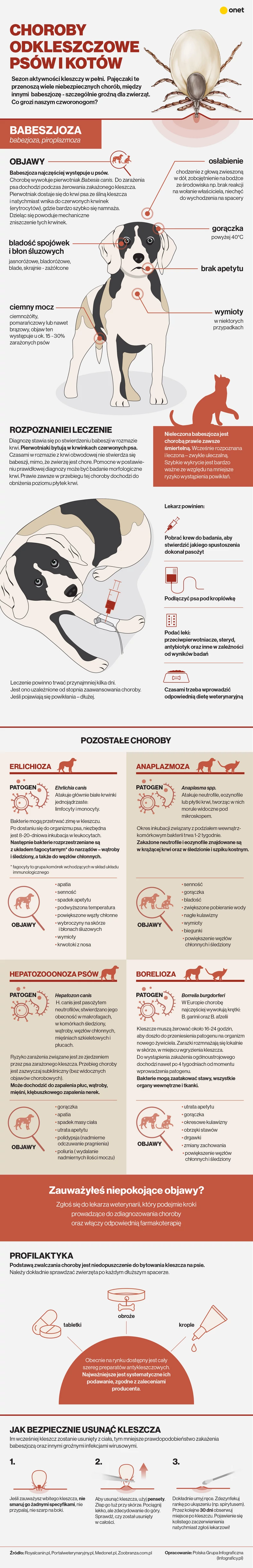 Choroby odkleszczowe u zwierząt