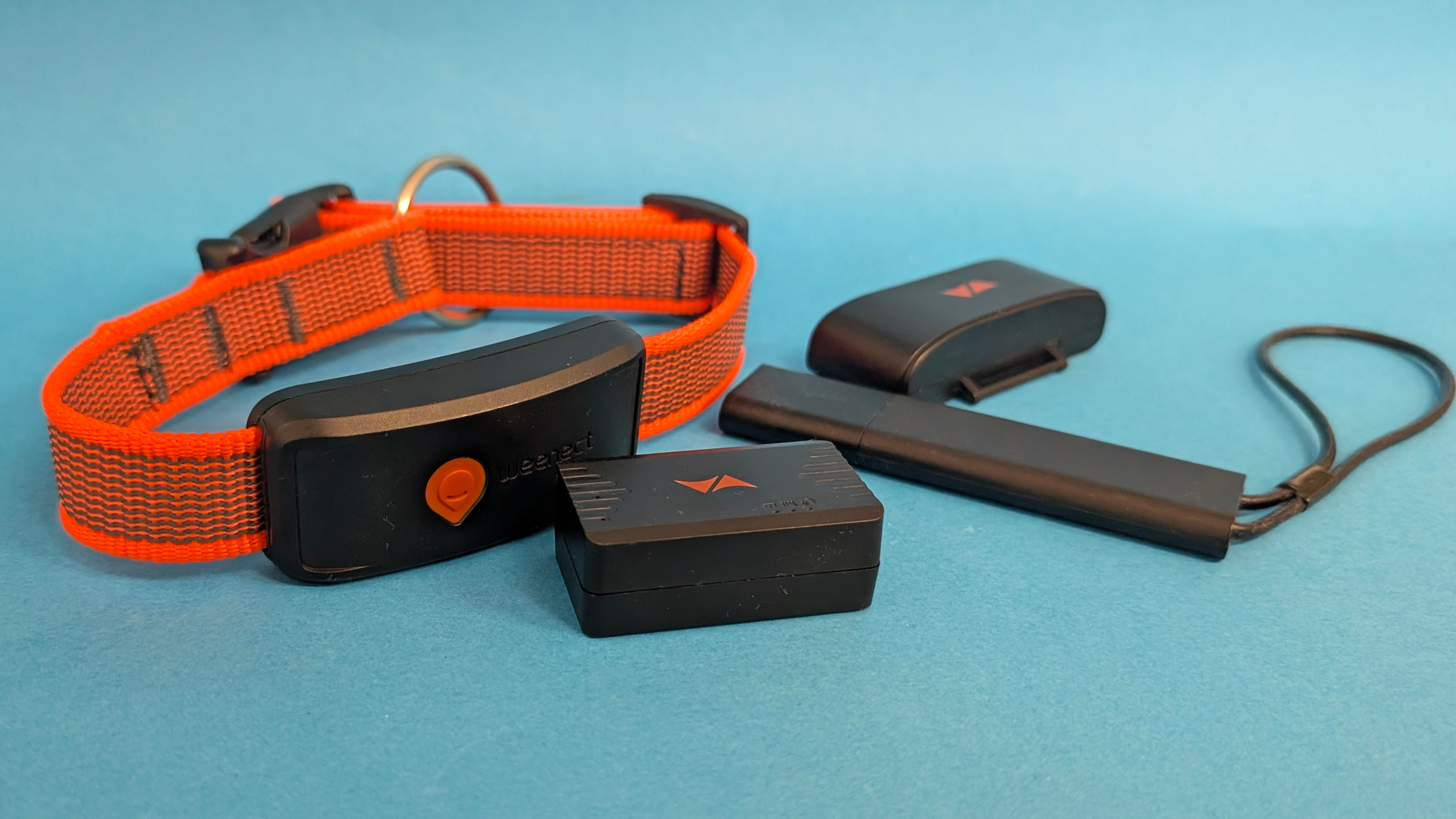 Top 5: Der beste GPS-Tracker für Hund und Katze im Test