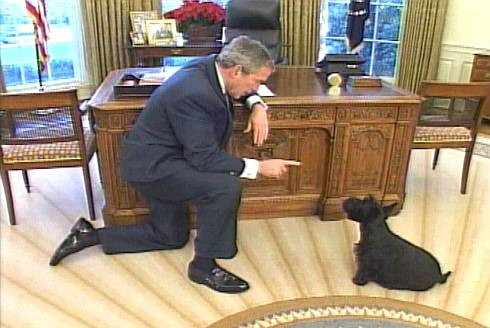 Wszystkie psy prezydenta / 07.jpg
