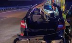 Tragedia na autostradzie A1. Przed auto wybiegł łoś. Nie żyje 35-latek