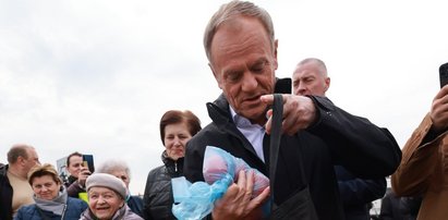 Tusk narzeka na pomidory za 34 zł. Podpowiadamy! Tu są tańsze