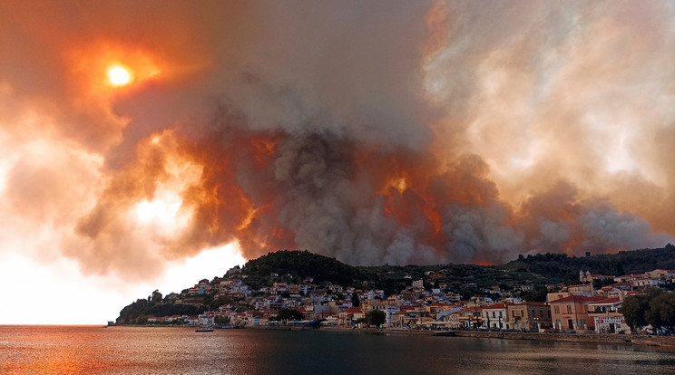 Longokban álló hegyoldal Évia szigetén / Fotó: rofimedia