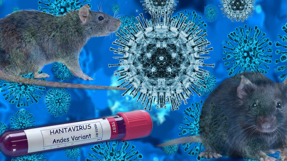 Hantavirus šire glodari