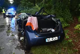 Drzewo spadło na auto z trójką dzieci. Uratowali je świadkowie