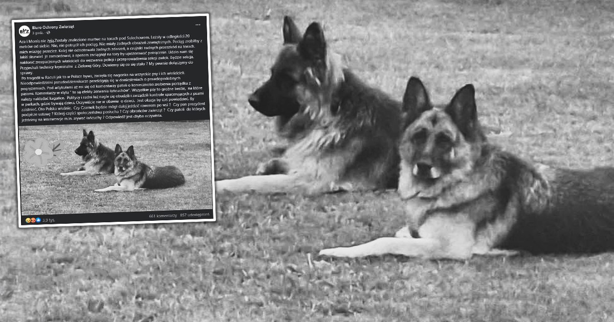 Aza i Moris zniknęły z zamkniętej posesji. Znaleziono ich ciała. Pojawiły się straszne podejrzenia