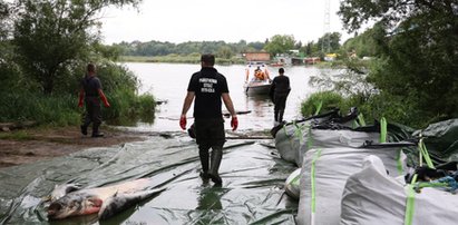 Katastrofa na Odrze. Wymowna decyzja niemieckich naukowców. To szpila wbita w polski rząd