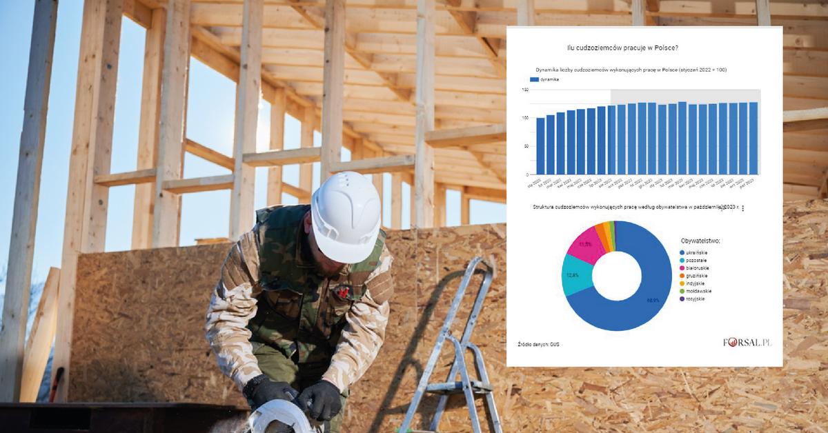  Obcokrajowcy pracujący w Polsce. Ilu ich jest?
