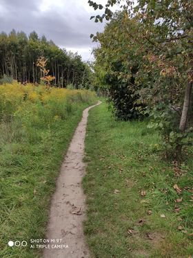 Os. Podleśna. Mieszkańcy proszą o przedłużenie chodnika do Wadąga. Co na to urzędnicy?