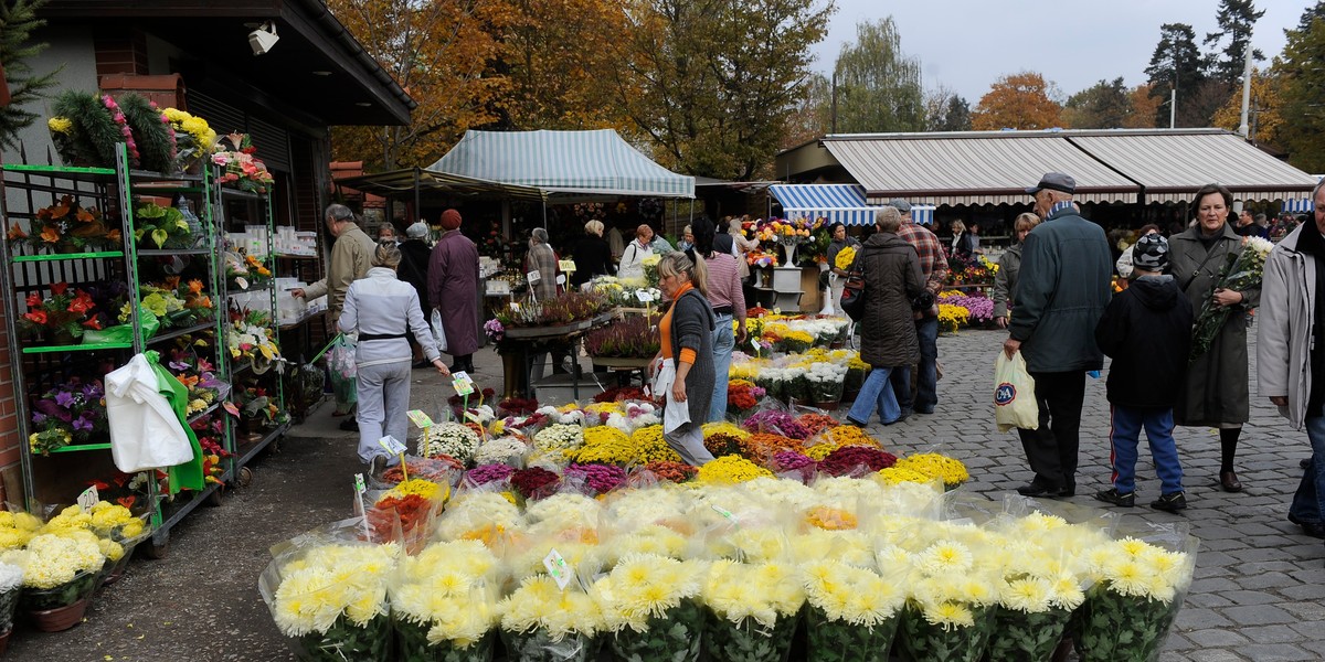 Wszystkich Świętych 2012.