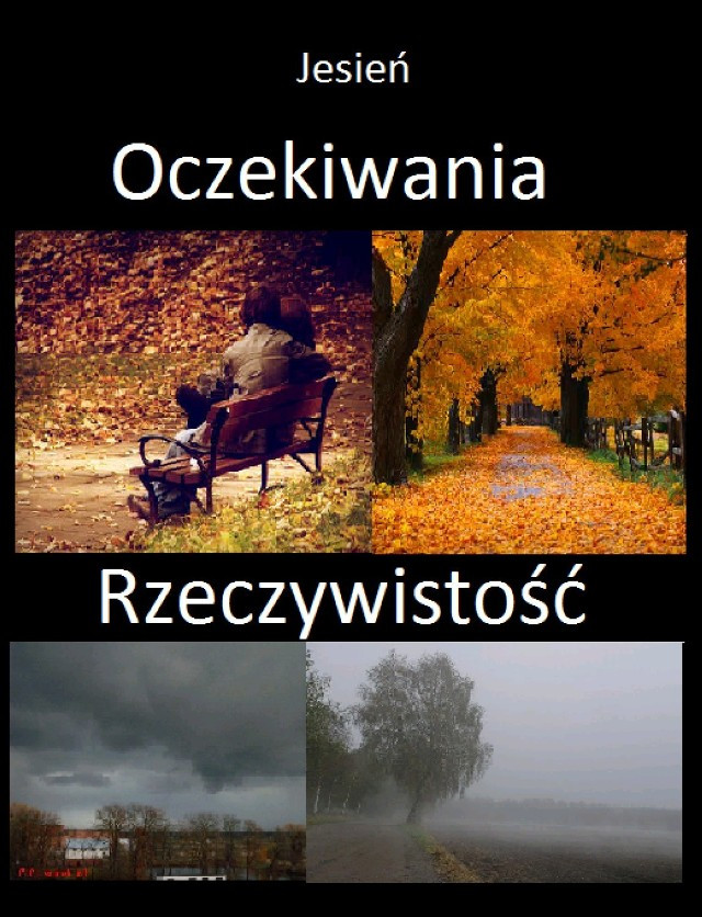 Jesień w memach. Internautów nie opuszcza poczucie humoru