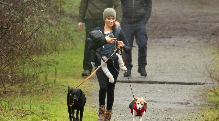 Meghan egyszerre sétáltatja a beagle-t, a fekete labradort és kisfiát, Archie-t. /Fotó: Profimedia 