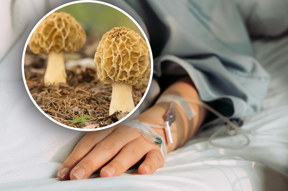 Žena (64) umrla od gljive koja na Balkanu važi za jednu od najzdravijih: Pre smrti ostavila dirljivu poruku porodici