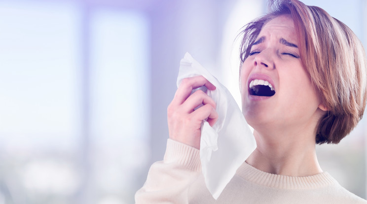 A kezeletlen allergia sérülékenyebbé teheti az immunrendszert /Fotó: Shutterstock
