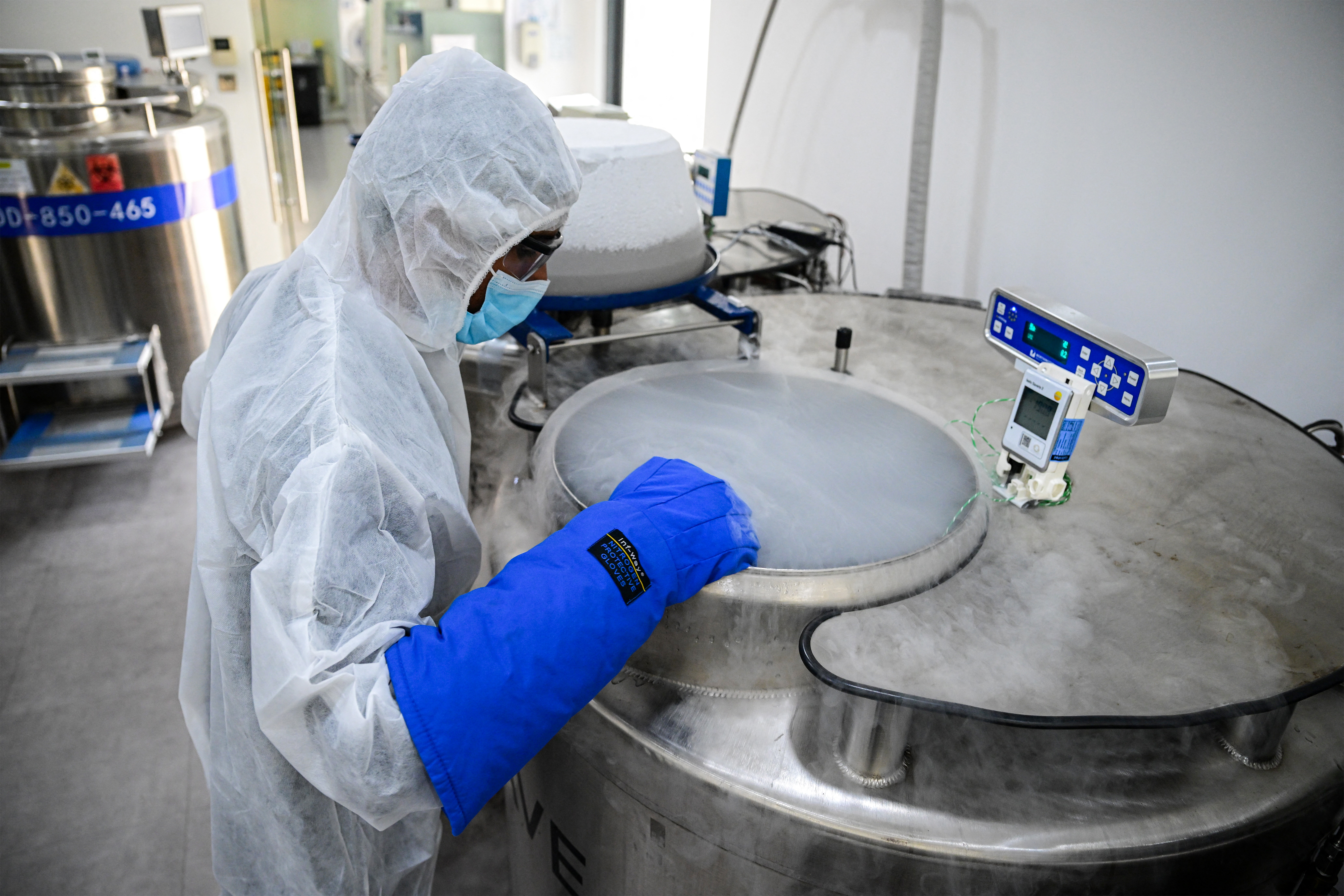 Millepiedi: scoperta rivoluzionaria per nuovi farmaci