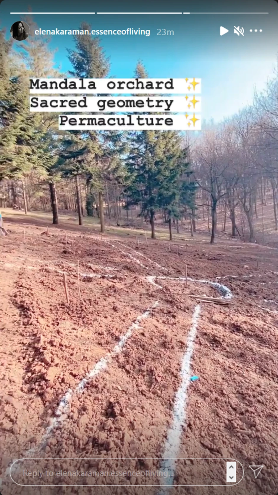 Elena Karić, voćnjak