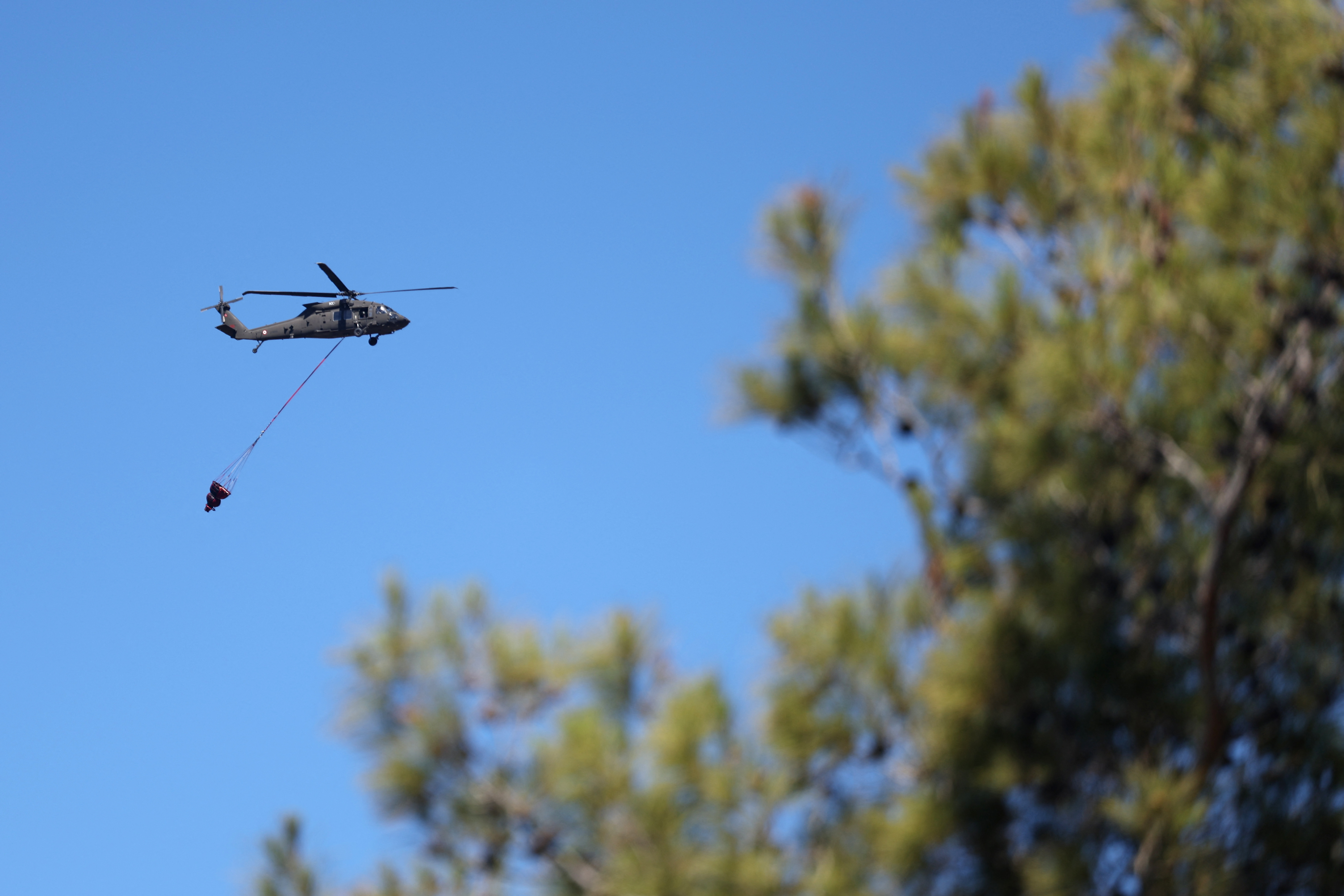 ONG siria pide emergencia ambiental por incendios Latakia