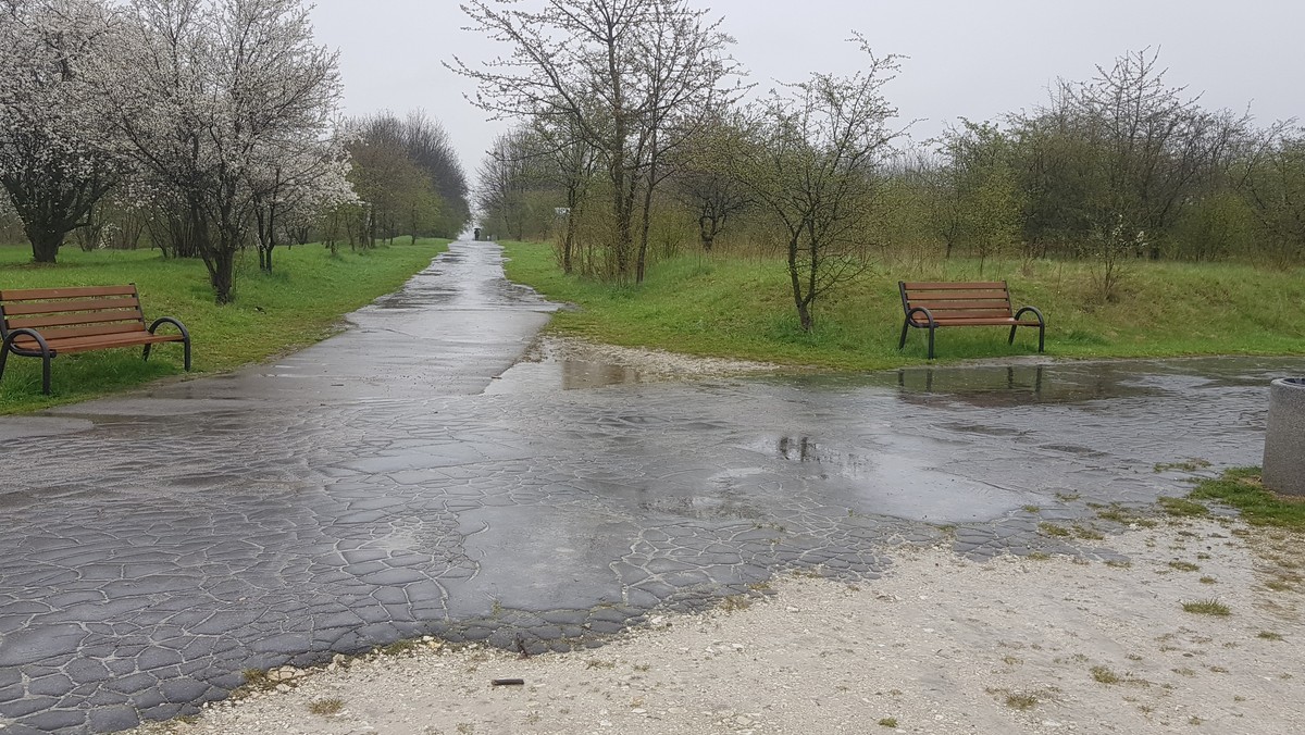 Kraków: Postawił ławeczki. Urzędnicy domagają się działania służb