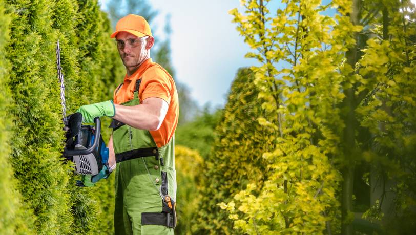 Heckenscheren mit Benzinantrieb: Die besten Modelle im Vergleich