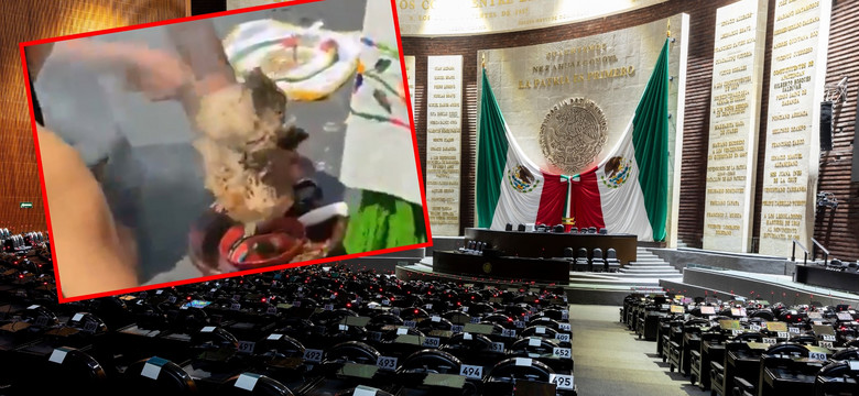 Rytualny ubój kury w Meksyku. Senator oskarżany o znęcanie się nad zwierzętami