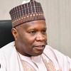 Gombe State Governor, Inuwa Yahaya (Punch)