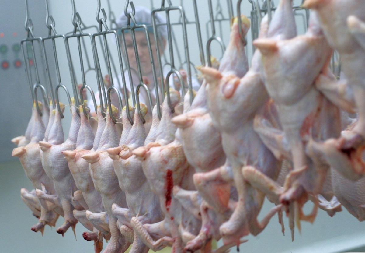 Niemcy rozchwytują polskie kurczaki. Eksport drożejącej żywności trzyma gospodarkę