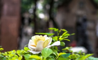 Biznes pogrzebowy w Rosji notuje ogromne zyski