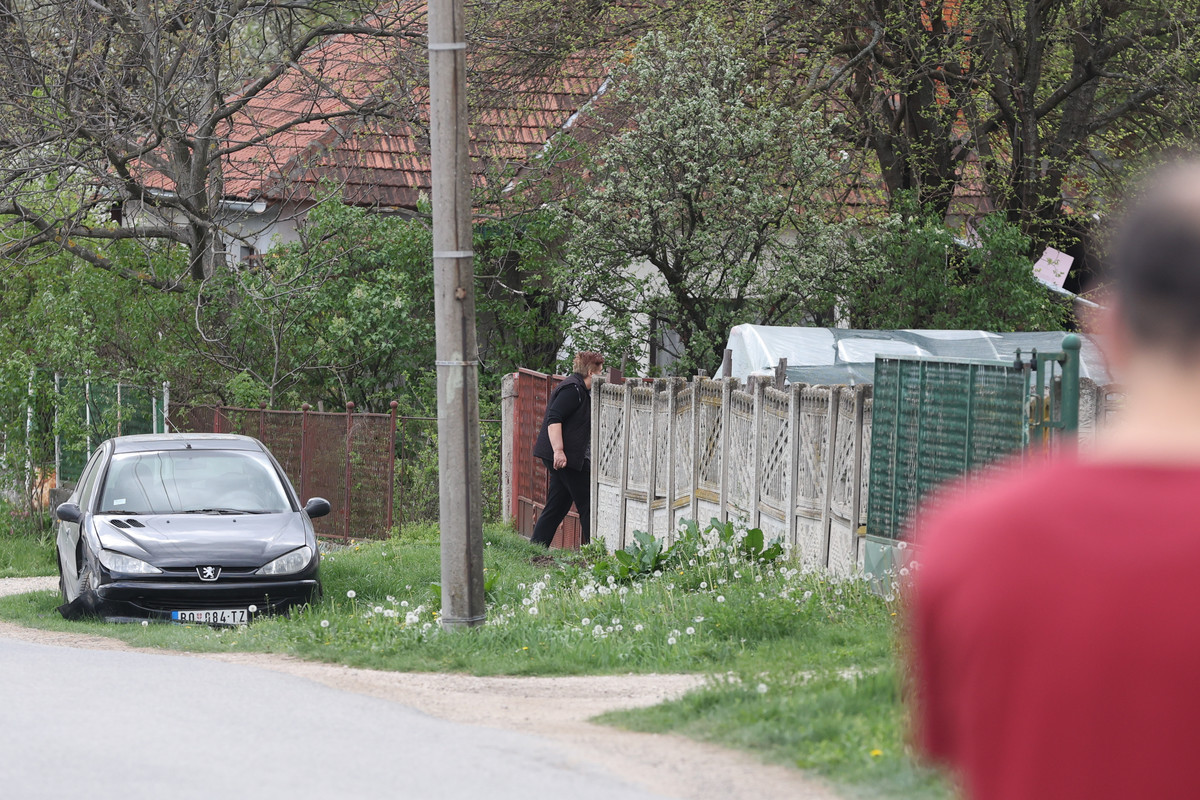 Majka Dalibora i Dejana Dragijevića