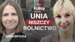 bryłka: ue przeciw rolnikom. merkosur to zdrada wsi [kulisy polityki]