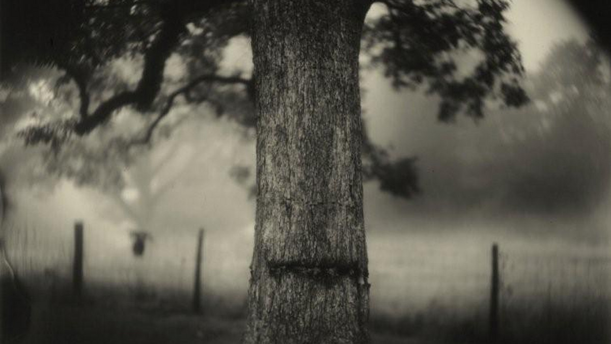 Jeszcze tylko do 29 lipca można oglądać w Muzeum Etnograficznym w Krakowie wystawę fotografii Sally Mann, zorganizowaną w MEK w ramach Festiwalu Miesiąc Fotografii w Krakowie. Wybór prac amerykańskiej fotografki, prezentujemy pod tytułem: "Rodzina i ziemia".