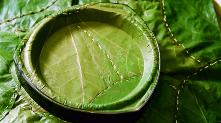 Nemsokára "levéltányérokban" szolgálhatjuk fel a szülinapi tortát / Fotó: Leaf Republic