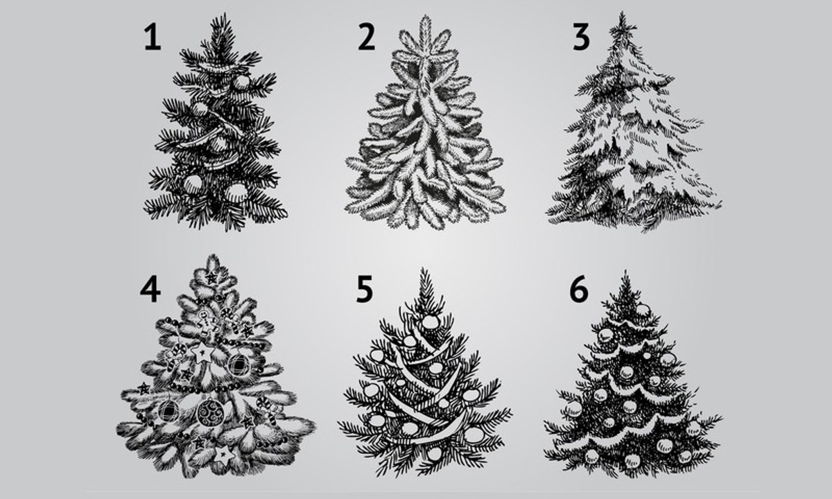 Którą choinkę wybierasz? Ten wybór powie o twoim charakterze więcej niż myślisz