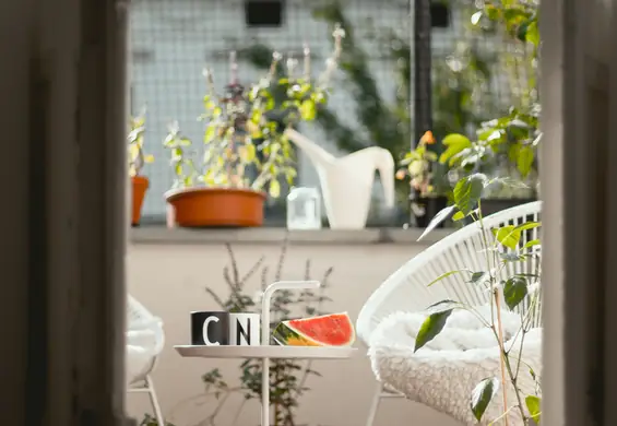 Pięć porad, dzięki którym urządzisz balkon niewielkim kosztem. Robią różnicę!