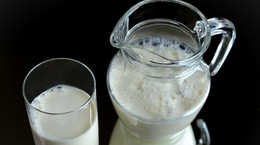 Ośle mleko - czy jest zdrowe? Czym się różni od mleka krowiego?