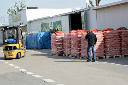 Spadła produkcja większości towarów. Nie dotyczy to jednak cukru