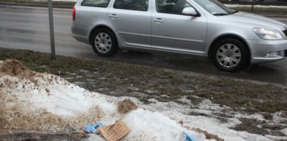 Stopniał śnieg, miasto tonie w brudzie