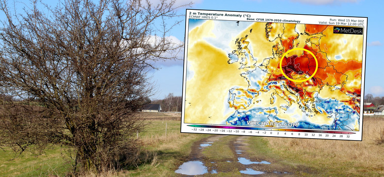 Przed nami prawdziwa eksplozja wiosny. Polska na mapach stanie się "czerwoną wyspą"