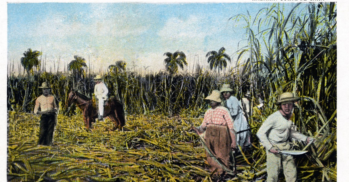 Słodka wyspa. Historia interwencji USA na Kubie