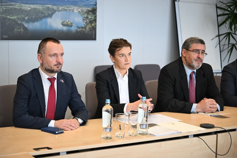 Ana Brnabić i Nemanja Starović