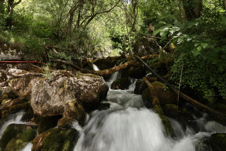 gornji-tok-neretve-jedna-od-pritoka-rijecica-Pridvorica-p1-foto-s-pasalic-scaled