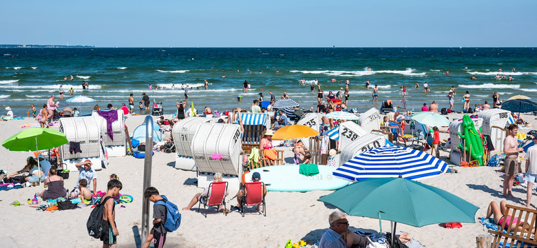 Meduzy nawiedziły Bałtyk. Ponad 200 osób rannych