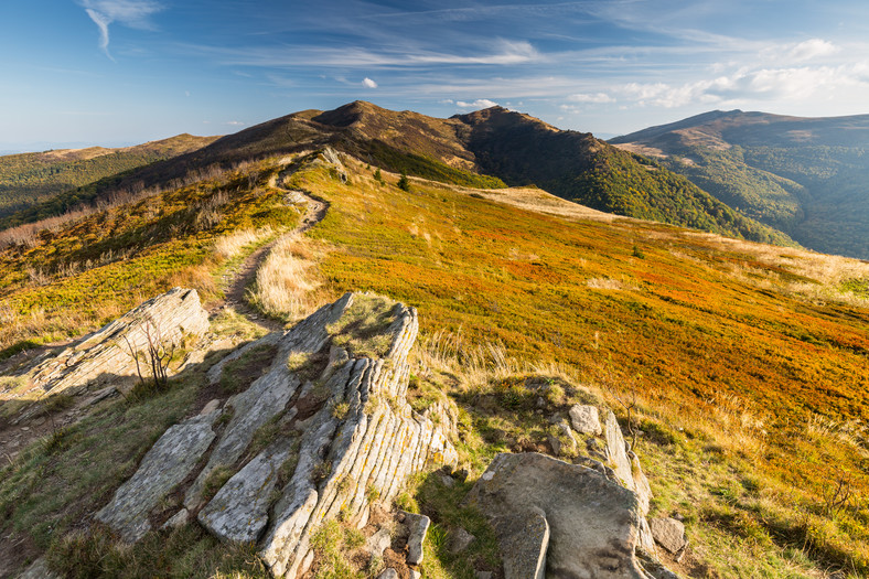 Bieszczady, Bukowe Berdo