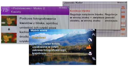 Wzór do naśladowania - tak można określić wygląd i funkcjonalność menu NEX-5. Początkujący fotografowie ucieszą się też z licznych podpowiedzi w menu