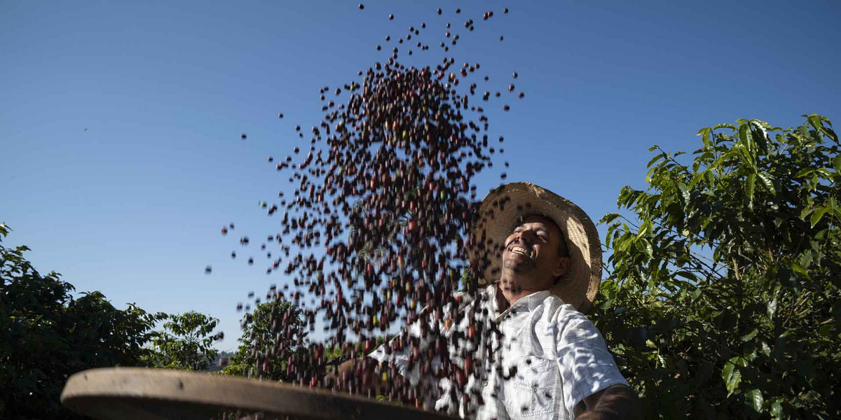 Rolnik uprawiający kawę na zasadach Fairtrade, kooperatywa COOMAP, Brazylia. Foto: Santiago Engelhardt/Fairtrade