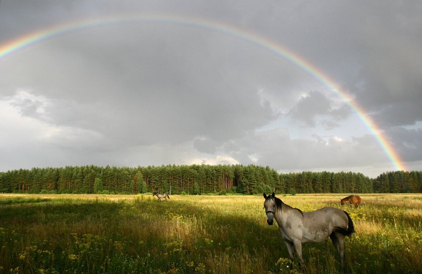 A może krótki wypad za miasto? Góry? Morze? Lub Mazury…